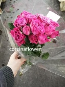 Роза кустовая розовая Роял Меджик букет, срезка SR628 купить в Москве