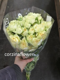 Роза кустовая желтая Бандолеро срезка 9 60 см