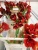 Букет красных цветущих  амарилисов Феррари https://corzinaflowers.ru/catalog/bukety_iz_tsvetov_fruktov_ovoshchey_i_dr/srezannye_tsvety/amarilis_gippeastrum_srezka/2038/