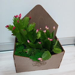 Мастер-класс "Зимнее Чудо" состоится 08 декабря в 13:00.