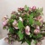 Морозник (Хелеборус) Пинк Маммут цветы https://corzinaflowers.ru/catalog/bukety_iz_tsvetov_fruktov_ovoshchey_i_dr/srezannye_tsvety/moroznik_kheleborus_srezka/10559/