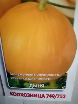 Дыня Колхозница рассада OG520 купить в Москве