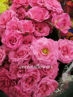 Роза розовая кустовая Лианне срезка 10 60