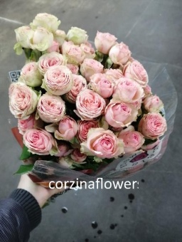 Роза кустовая Налани 9 шт 50 см