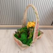 Первоцветы в корзине Весна KM834 купить в Москве