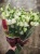 Эустома Алиса Вайт 9 шт https://corzinaflowers.ru/catalog/bukety_iz_tsvetov_fruktov_ovoshchey_i_dr/srezannye_tsvety/eustoma_ili_liziantus_srezka_/1846/